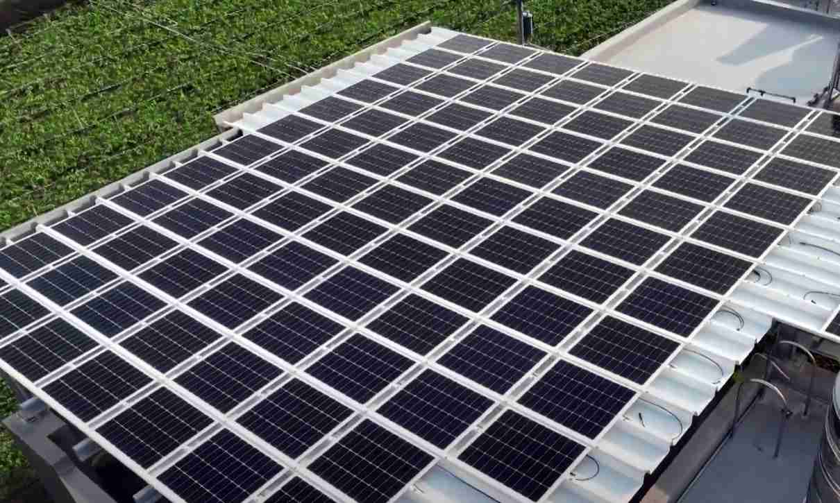 欧陆注册SunSteel光电浪板升级双玻结构，，，以提升机械负载强度及气候耐候度，，，，可广泛运用于多元场域